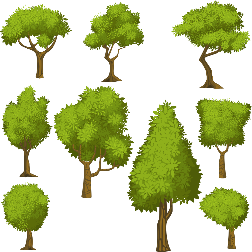 Tree Euclidean Vector Shrub Illustration - Desenhos De Arvores Em Conjunto (999x1000)
