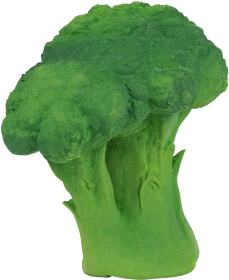 Brucy The Broccoli - Broccoli (700x800)