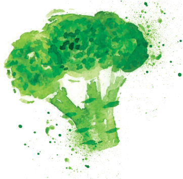 Translation Of Information Obtained From Plants And - Illustration (369x353)