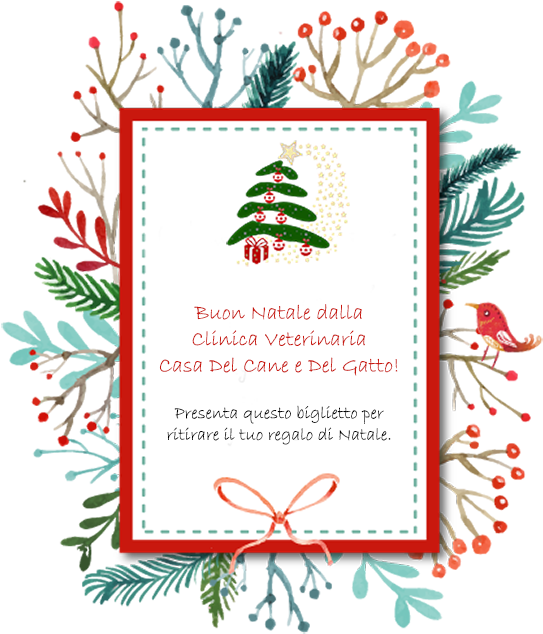 Il Natale È Alle Porte Noi Della Casa Del Cane E Del - Merry Christmas 2018 Write Name (650x650)