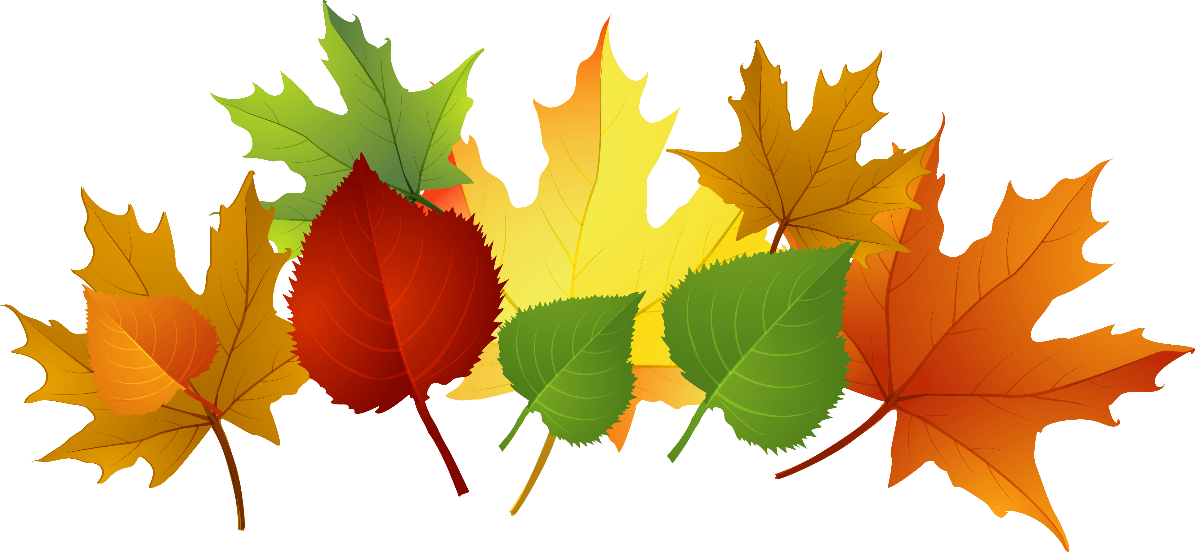Fall Leaf Clip Art Free Cliparts That You Can Download - Clip Art (3969x1910)