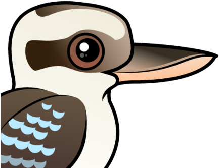 Also Known As - Kookaburra Outline (440x440)