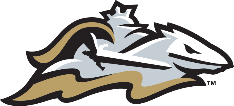 3391 Charlotte Knights Cap 2014 - Charlotte Knights Logo Png (800x362)