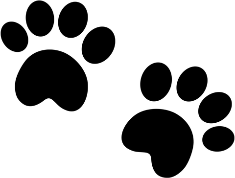 Ckren Uploaded This Image To 'animales/osos Panda' - Pet Quotes (480x364)