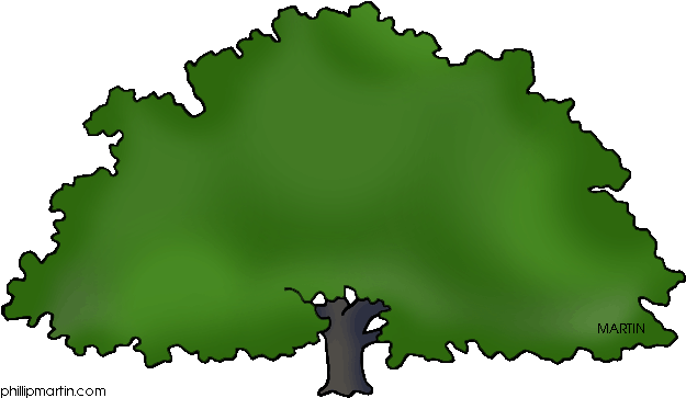 Georgia - Clipart - Big Oak Tree Clip Art (648x381)