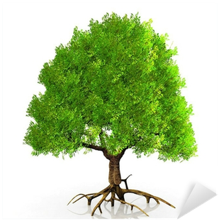Vinilo Pixerstick Un Árbol Verde Muy Grande • Pixers® - Liquidambar Formosana 3d Free (400x400)