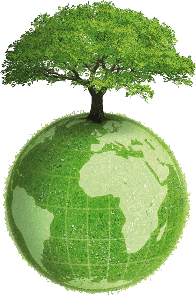 El Día Del Árbol Se Acerca - Earth With Tree Png (776x1079)
