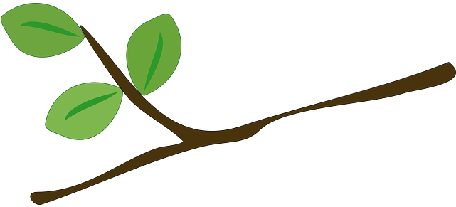 Vector Gratis Rbol Rama Hojas Verde Ramas Imagen Ramas - La Rama De Un Arbol (640x320)