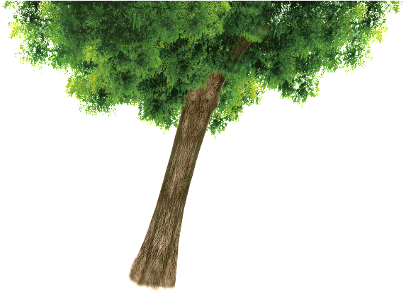 Arbol Verde Material - Alumni Homecoming Background (650x433)