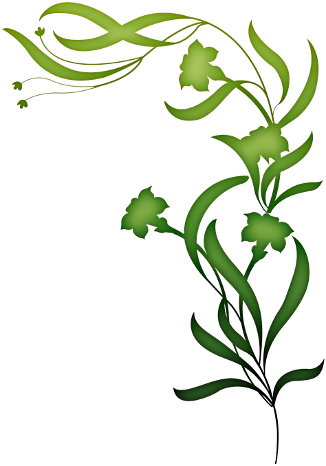 Leaf Pictures Art 11, Buy Clip Art - Top Birthday Wishes For Boss (529x720)