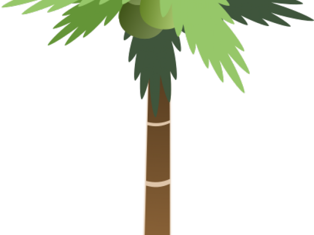 Palm Tree Clipart Pdf - Palm Tree Clip Art (640x480)