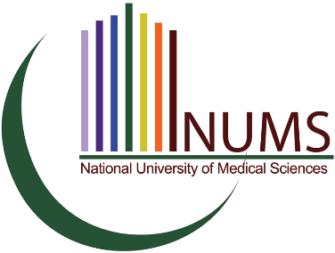 Graphic Designing Universities In Islamabad Vector - Service (448x321)