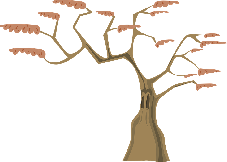 Arbol Con Ramas Animado - (960x687) Png Clipart Download Arbol Con Ramas Animado - (960x687) Png Clipart Download
