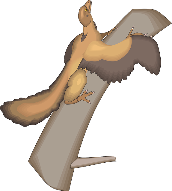 Archaeopteryx Tree, Bird, Wings, Ancient, Trunk, Archaeopteryx - Trunk (574x640)