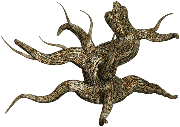 Stump, Tree, Wood, Nature, Plant, Timber, Old, Trunk - Dessert Grass Plants Png (640x453)