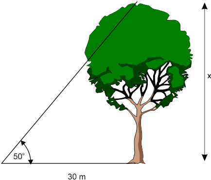 What Is Trigonometry - Height Of A Tree Trigonometry (434x369)