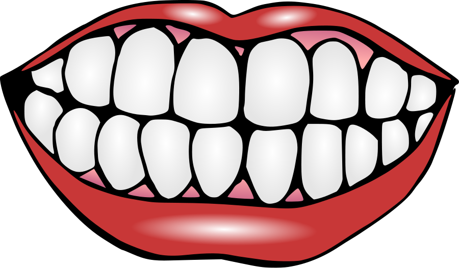 Tooth Clipart - Open Mouth Clip Art (900x526)