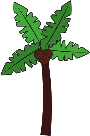 Tropical Palm Tree Coconut Natural - Coconut (550x550)