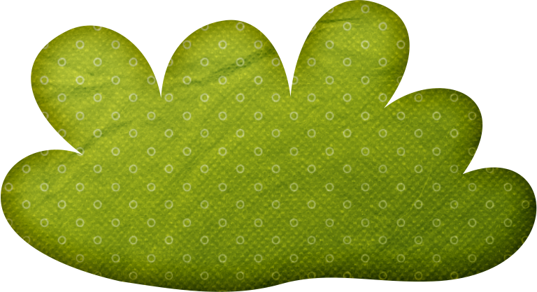 Photo By @selmabuenoaltran - Cactus (768x418)