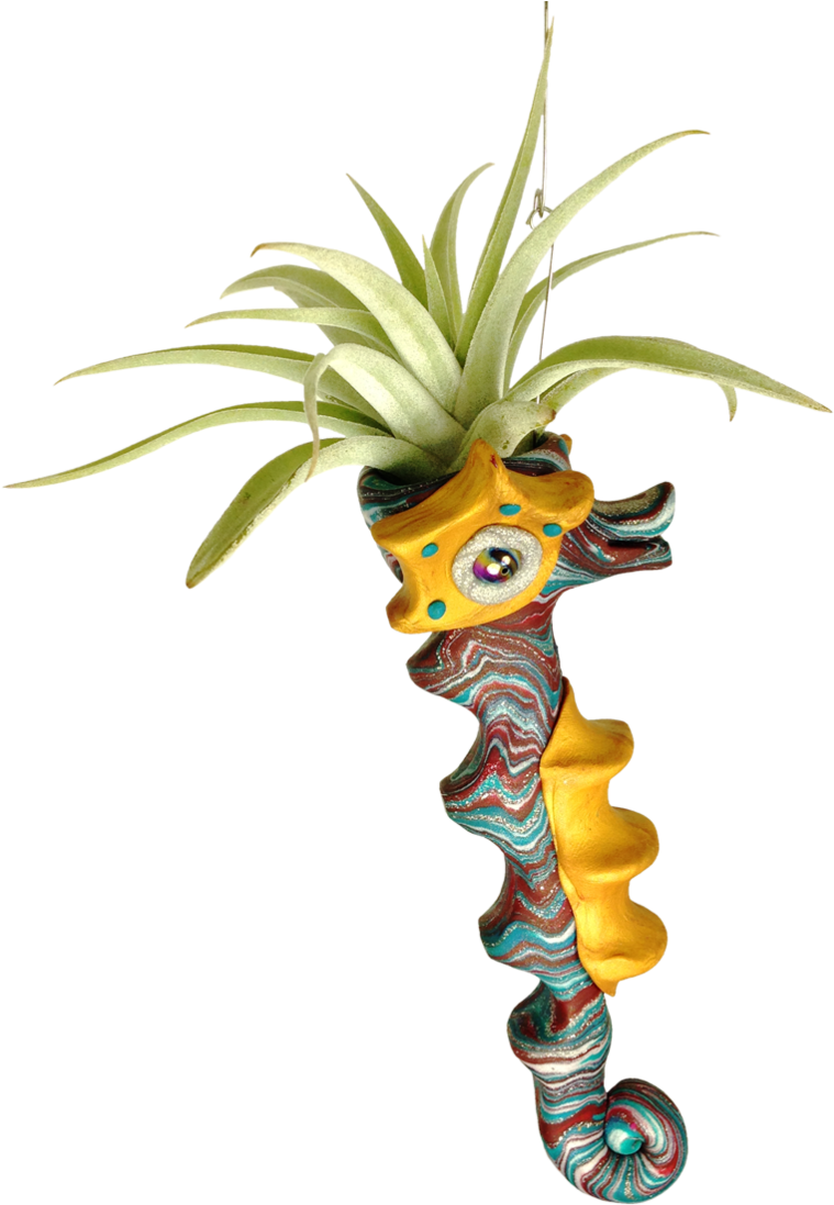 Julia's Florist Download - North Carolina (855x1140)