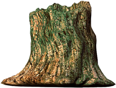 5 Images, The Tree Trunk - Transparent Tree Stump (900x900)