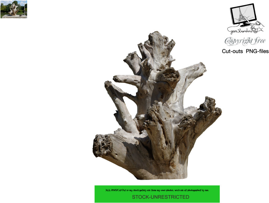 Dead Tree Trunk By Jean52 - Driftwood (1024x682)