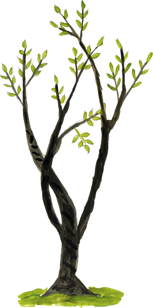 1222 × 1400 Px - Twig (509x1024)