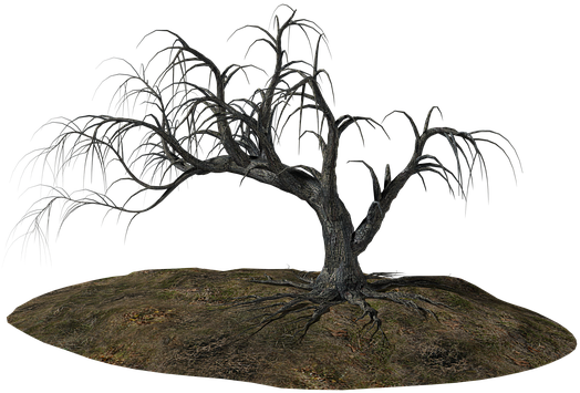 Tree, Old, Ill, Old Tree, Nature, Wood, Gnarled - Before The Heart Fell Silent: Collected Poems (640x365)