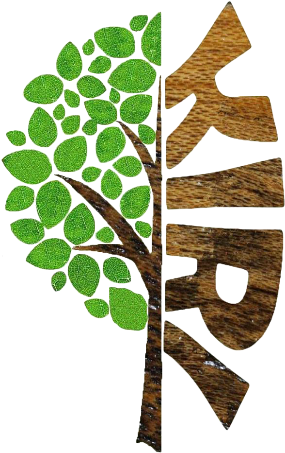 Kiri Tree Kiri Tree - Maidenhair Tree (960x960)