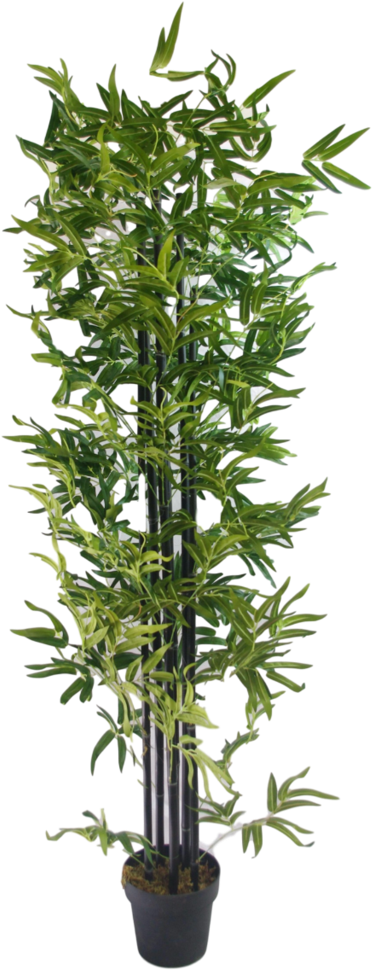 Uv Stabilized Artificial Japanese Bamboo On A Black - Bamboo (679x1024)