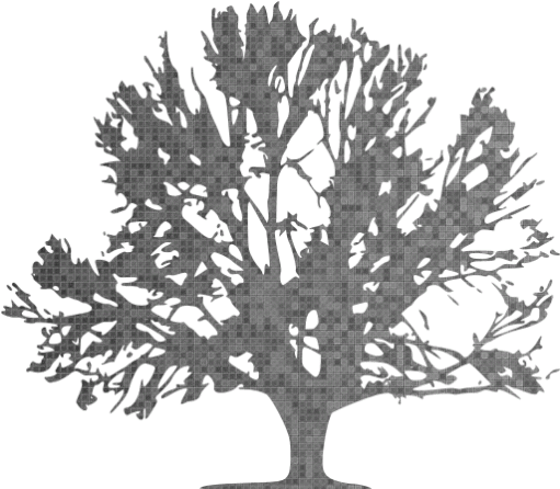 Custom Color Tree 41 Icon - Cronica Del Cero Absoluto,la [book] (512x512)