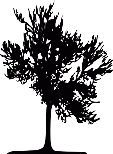 Black Tree Transparent Gif (512x512)