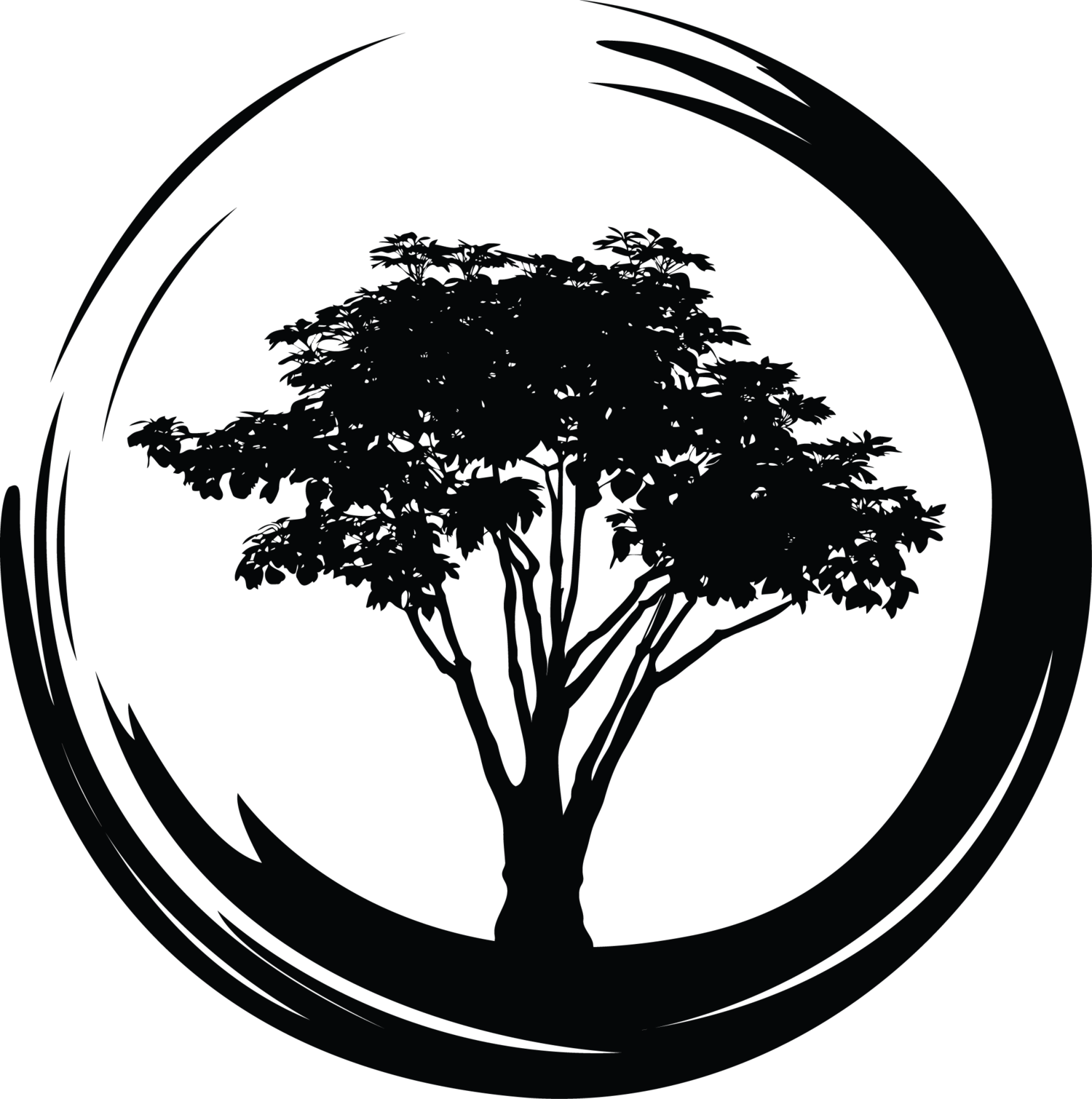 Fall Classes At The Breathing Tree - Fall Classes At The Breathing Tree (1500x1510)