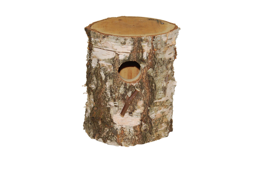 Tree Trunk Nest Exotic Birds 140x190 Mm - Bird (500x500)
