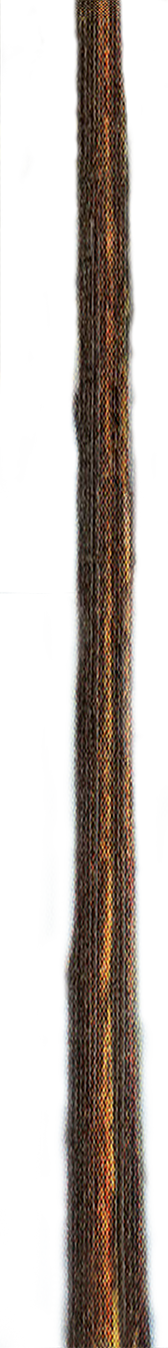 Pine Tree Top Pine Tree Trunk - Wood (168x1348)