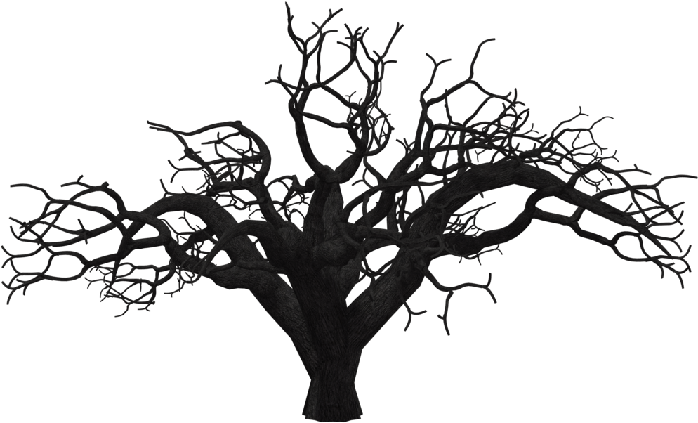 Tree 08 By Free Stock By Wayne - Stock (1024x645)