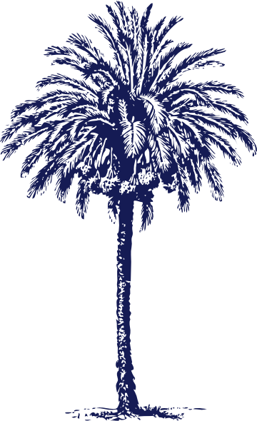 Navy Clipart Tree - 3drose Pink Vintage Palm Tree - Summer - Travel - Tropical (360x590)