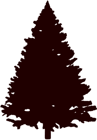 Mountain Pine Tree Silhouette - White Spruce Svg Download (512x512)