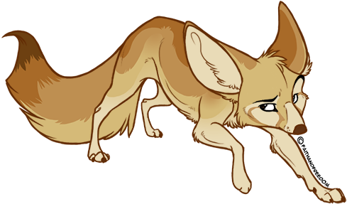 Fennec Fox For Un - Fennec Fox (500x314)