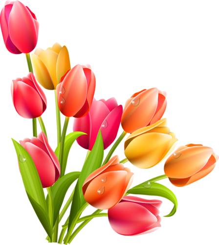 Album - Easter Flowers Clipart (448x500)