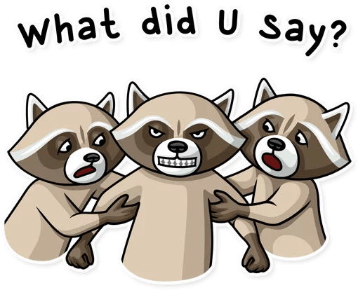 Transparent Png Sticker - Raccoons (512x512)