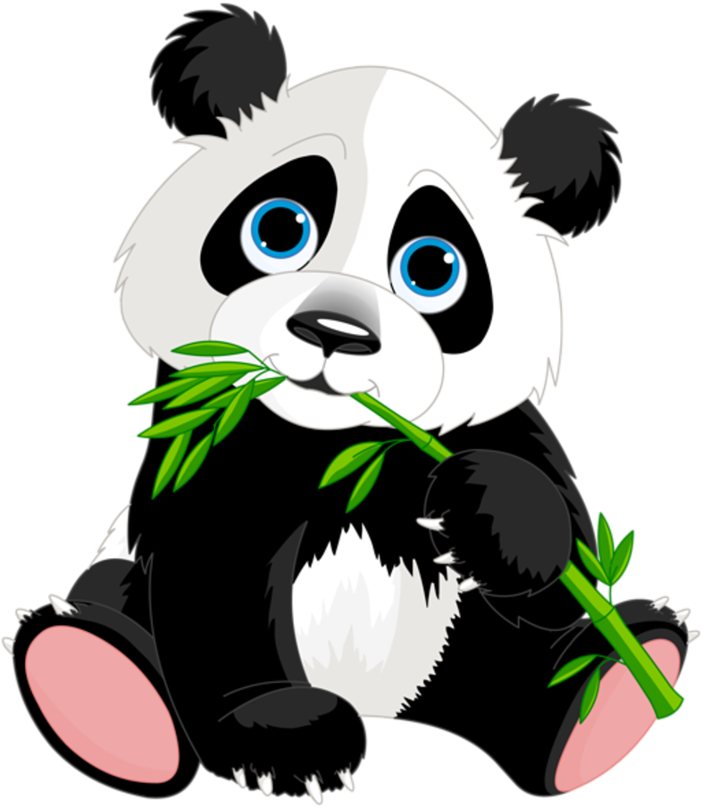 Cute Koala Cartoon Download - Panda Clipart (800x919)