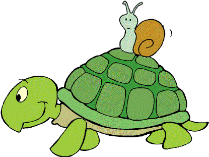 Tortoise Vs Snail Speed Race - Toto Turtle Time To Tuck And Think (500x347)