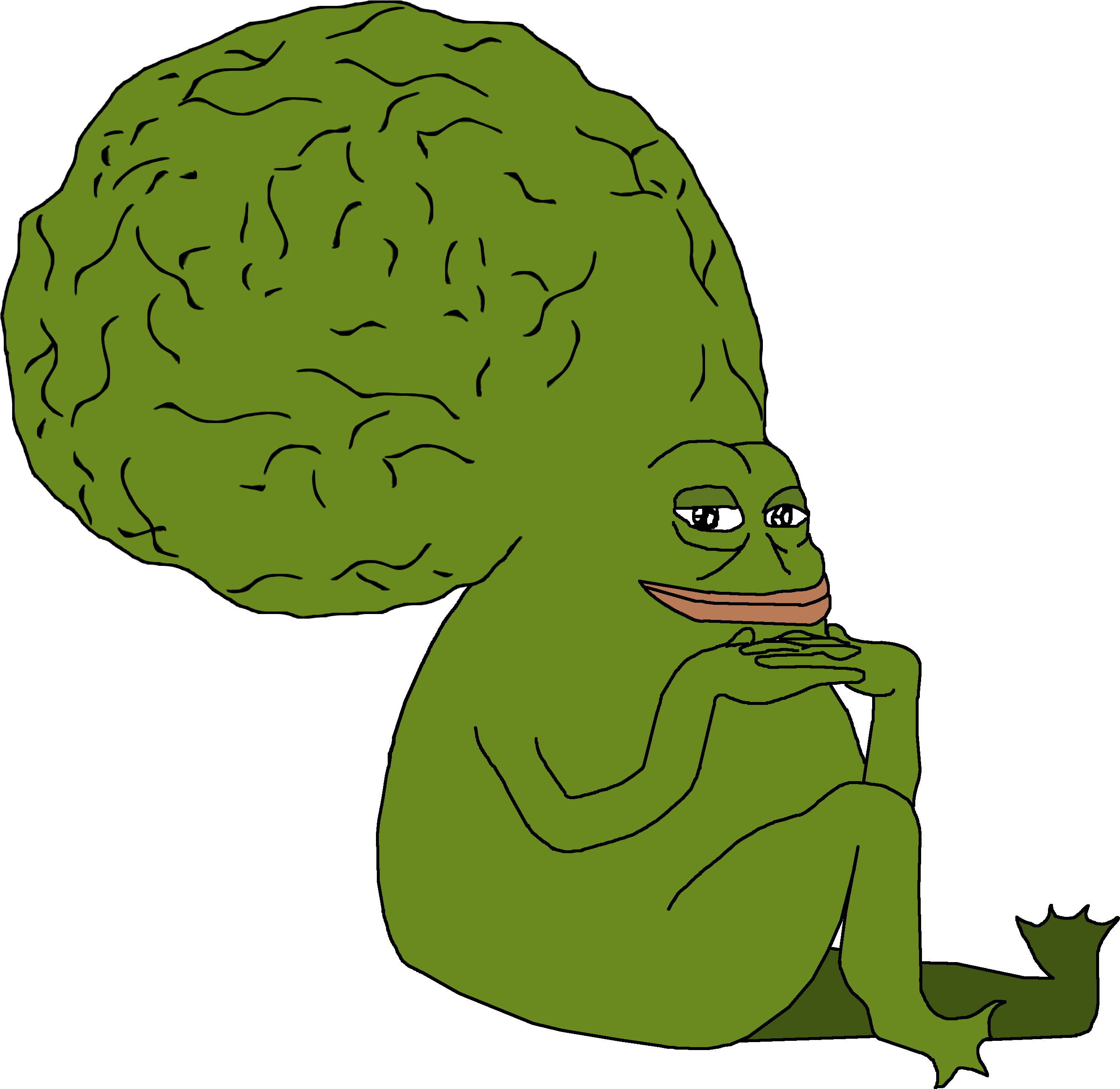 Pepe The Frog 4chan Know Your Meme /pol/ - 4chan Pepe (2753x2718)