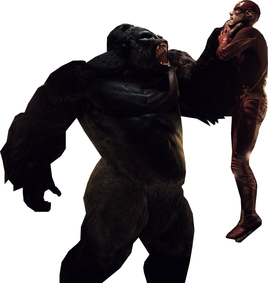 Flash V Grodd Png By Buffy2ville Flash V Grodd Png - Gorilla Grodd The Flash Png (941x994)