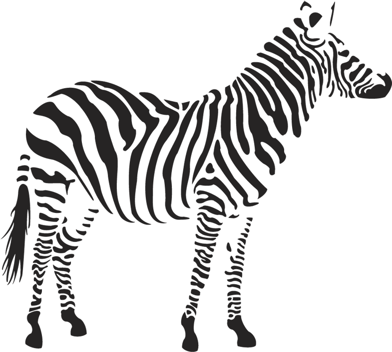 Zebra Clipart Two - Zebra Png (800x800)