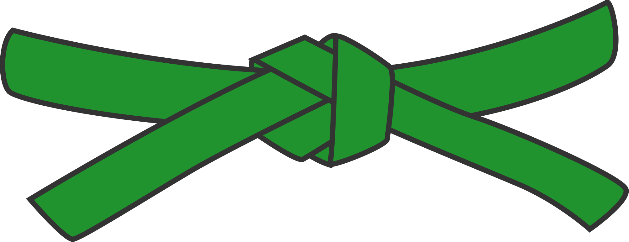 Judo Belt Clipart 4 By Robert - Martial Arts Green Belt (2000x772)