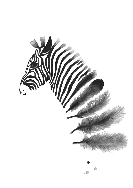Zebra Ink Wash Into Feathers Pinned By Issy Wilson - Cool Black And White Poster (549x800)