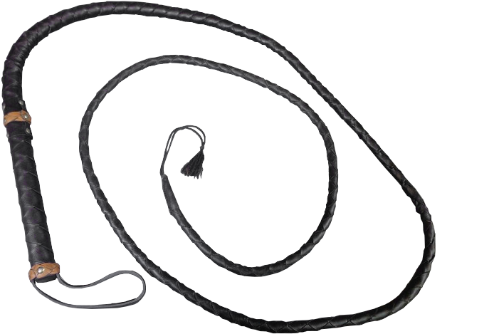 Whip Png - Whip Png (800x600)