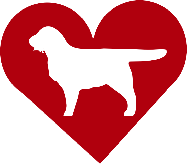 American Water Spaniel In Heart Outdoor Vinyl Silhouette - Ancient Dog Breeds (732x640)